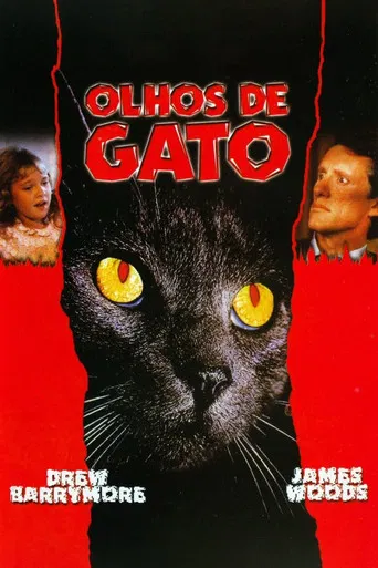 Olhos de Gato