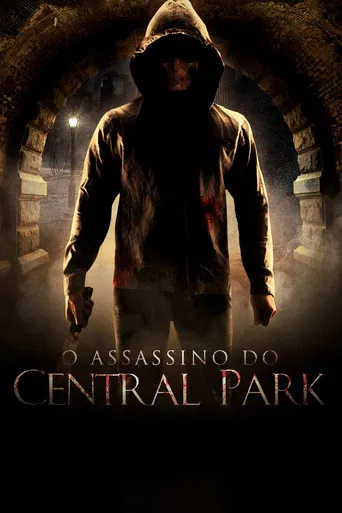 O Assassino do Central Park