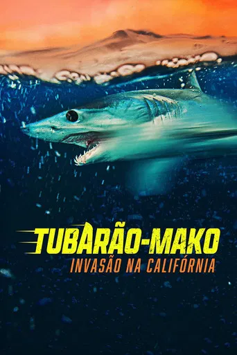 Tubarão-Mako: Invasão na Califórnia