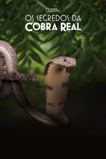 Os Segredos da Cobra Real