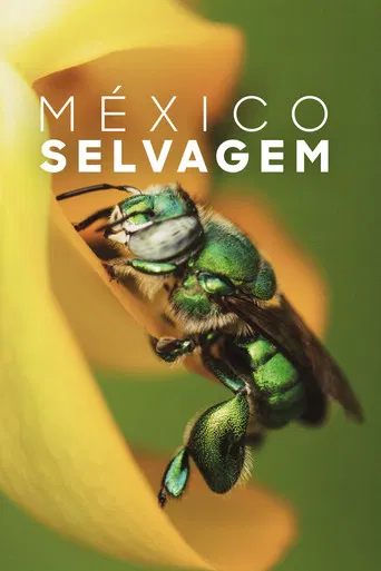 México Selvagem