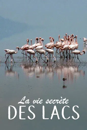 La Vie secrète des lacs