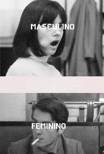 Masculino - Feminino