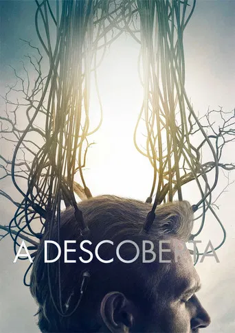 A Descoberta