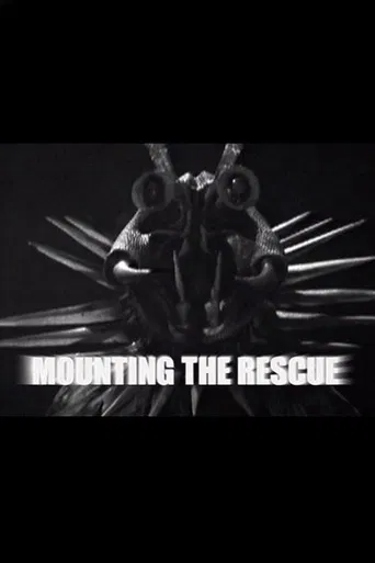 Mounting the Rescue