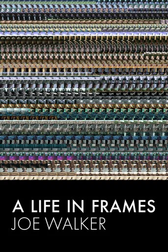 A Life in Frames — Joe Walker