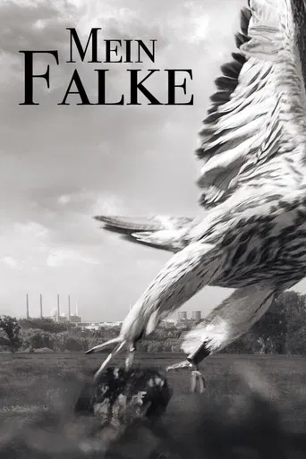 Mein Falke