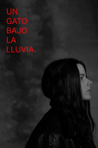 Un gato bajo la lluvia.