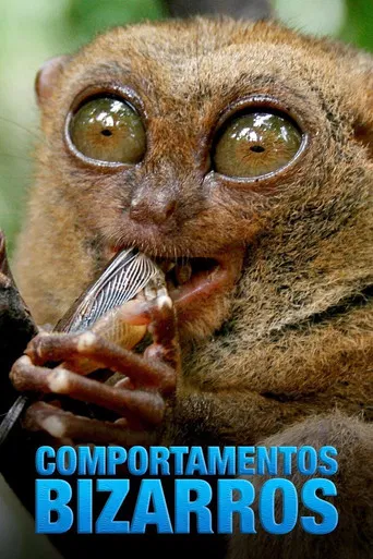 Comportamentos Bizarros