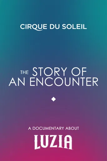 The Story Of An Encounter