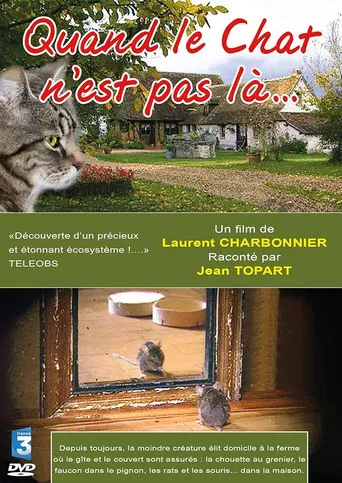 Quand le Chat n'est pas là…