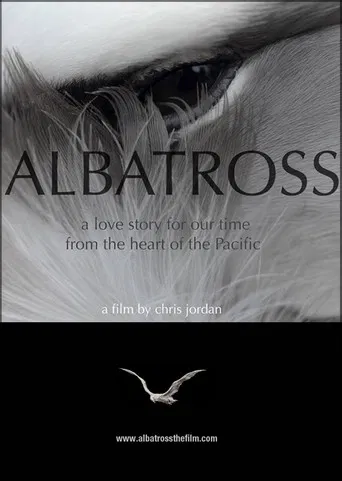 Albatross