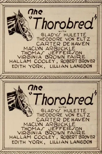 The Thoroughbred