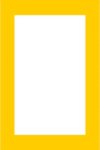 The Journey of Man: A Genetic Odyssey