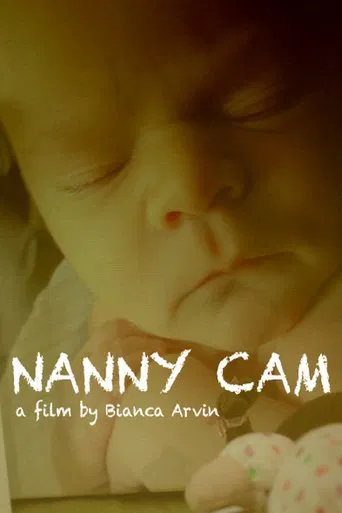 Nanny Cam