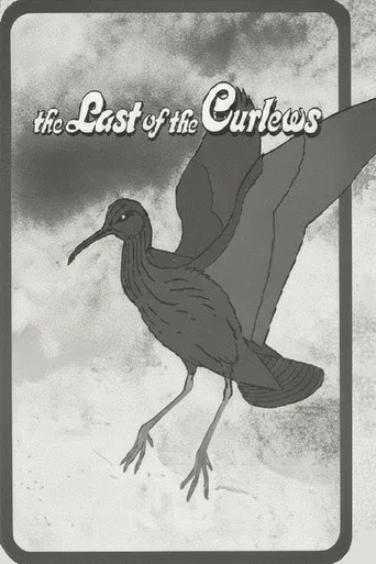 The Last of the Curlews