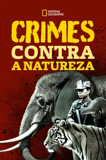 Crimes Contra a Natureza