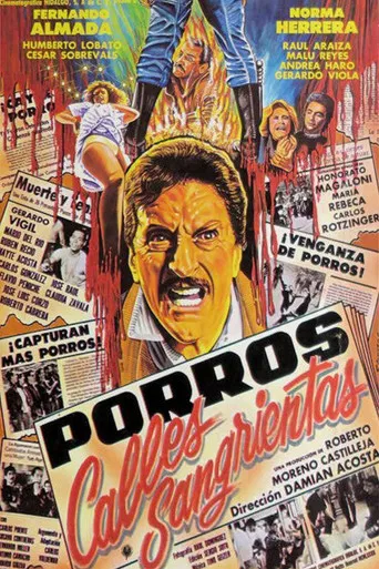 Porros: Calles sangrientas