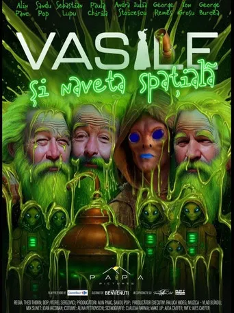Vasile si naveta spatiala