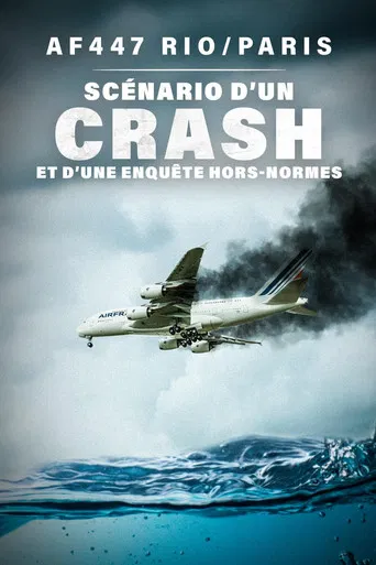 AF447 Rio/Paris : scénario d'un crash et d'une enquête hors normes