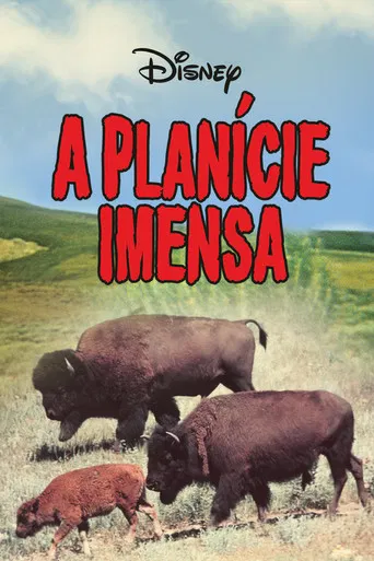 A Planície Imensa