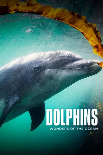 Dolphins - Wonders of the Ocean