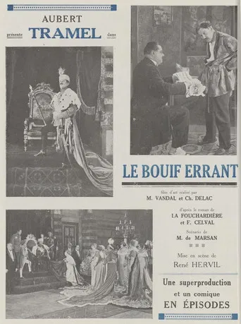 Le Bouif errant