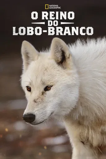 O Reino do Lobo-Branco