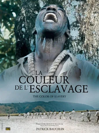La Couleur de l'esclavage