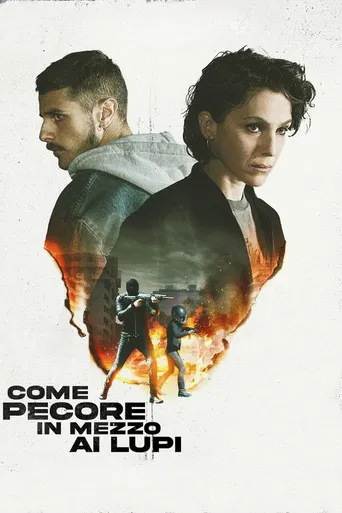 Come pecore in mezzo ai lupi