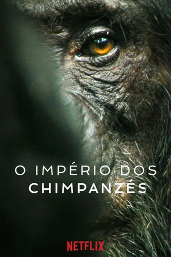 O Império dos Chimpanzés