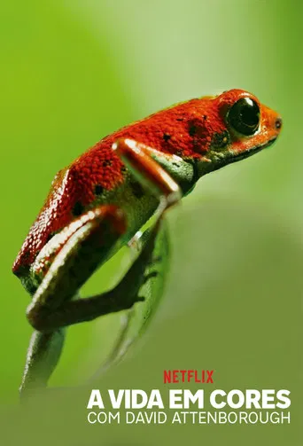 A Vida em Cores com David Attenborough