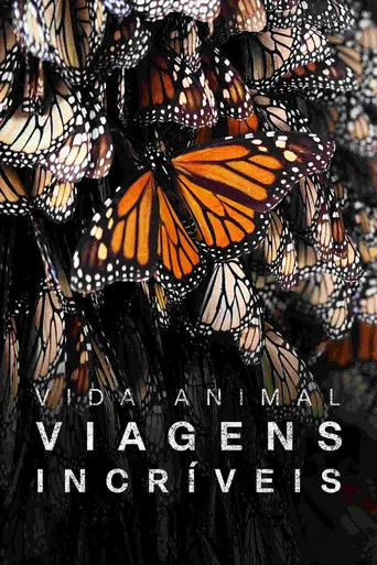 As Mais Incríveis Viagens de Animais