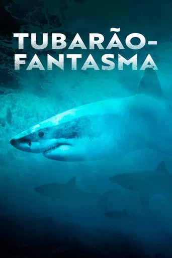 Tubarão-Fantasma