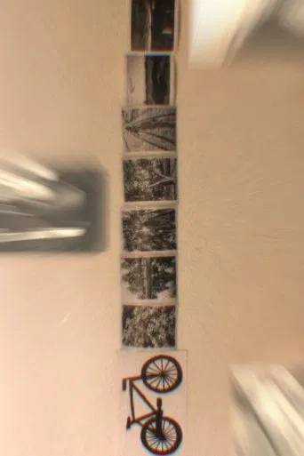 Biking And Its New Resemblance