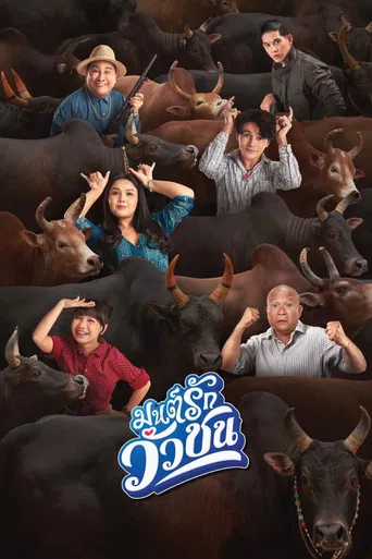 มนต์รักวัวชน