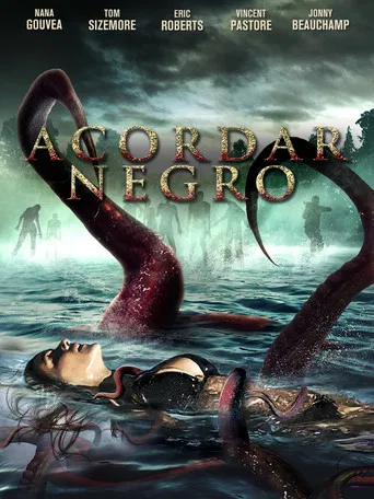 Acordar Negro
