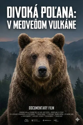 Divoká Poľana: V medveďom vulkáne