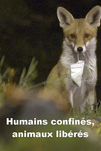 Menschen eingesperrt, Tiere befreit