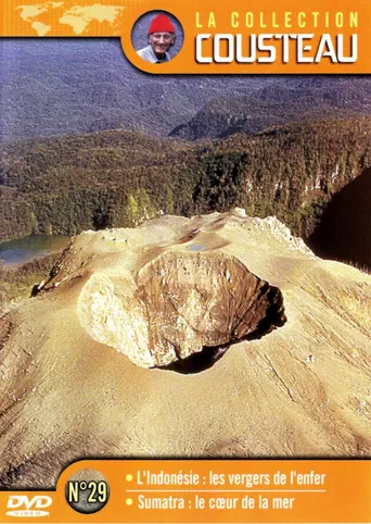 La collection Cousteau N°29 | L'Indonésie : les vergers de l'enfer | Sumatra : le cœur de la mer