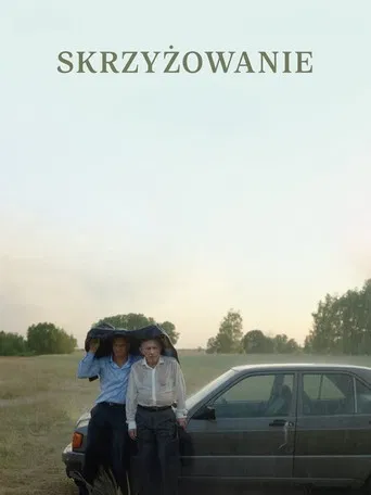 Skrzyżowanie