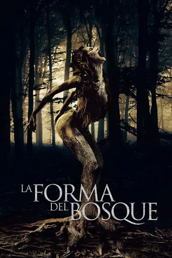La forma del bosque