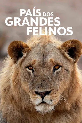 O País dos Grandes Felinos