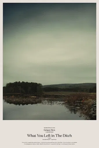 What You Left in the Ditch