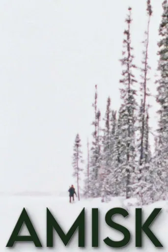 Amisk