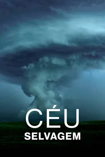 Céu Selvagem
