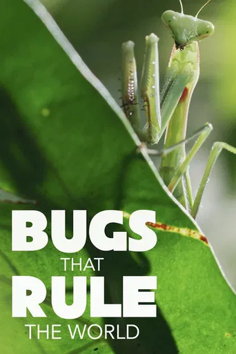 Bugs That Rule the World