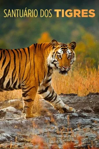 Santuário dos Tigres