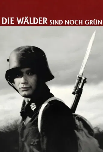 Die Wälder sind noch grün