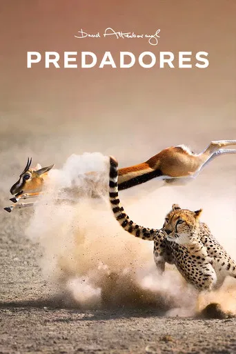 Predadores